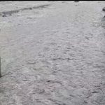 हल्द्वानी: कुमाऊं में बारिश बनी मुसीबत,गौला बैराज ने छोड़ा पानी,हल्द्वानी सहित जगह-जगह जल भराव-VIDEO
