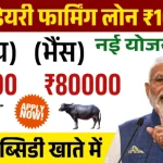 Dairy Farming Loan: डेयरी फार्मिंग लोन योजना के आवेदन शुरू, मिल रही है 50% सब्सिडी