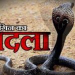 पति को नाग ने काटा तो…पत्नी ने नाग-नागिन से ऐसे लिया बदला,घटना जानकर हो जाएंगे हैरान