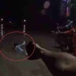 हरिद्वार में गणपति विसर्जन के दौरान हादसा,गंगा में डूबा युवक, मच गई अफरा-तफरी तलाश जारी- वीडियो आया सामने-VIDEO