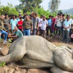 लालकुआं रेलवे ट्रेक पर ट्रेन की टक्कर से हाथी गंभीर रूप से घायल ,15 घंटे तक तड़पता रहा हाथी, पैर और दांत टूटा वन विभाग इलाज में जुटा