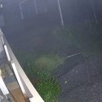 हल्द्वानी में तेंदुओं का आतंक: घर की खिड़की पर बैठ अंदर ताकता रहा तेंदुआ, CCTV में कैद खौफनाक मंजर; लोगों में फैली दहशत-VIDEO